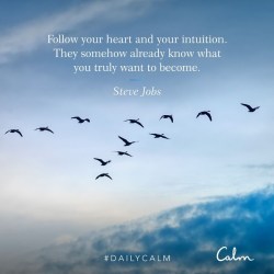#DailyCalm from the Calm App - Steve Jobs Quote