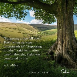 #DailyCalm with the Calm app