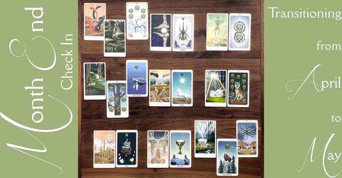 Month End Tarot Reading with the Anima Mundi Tarot and The Energy Archaeology Oracle