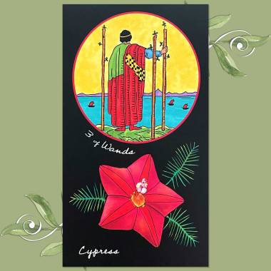 Liber Florum Tarot