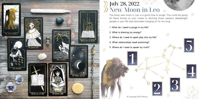New Moon in Leo Oracle Reading with the Normal Tarot (oracle deck)