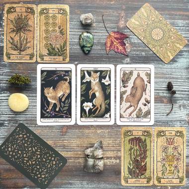 Botanica Occulta Tarot and Woodland Wardens Oracle