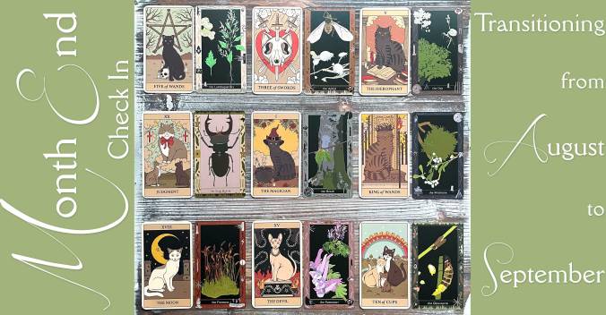 Month End Check-In Tarot Reading with the Cats Rule the Earth Tarot and the Glowwood Oracle