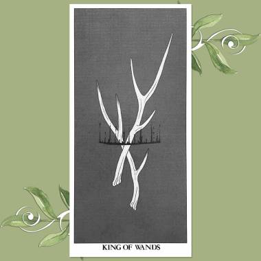 Mio Im's Tarot - King of Wands