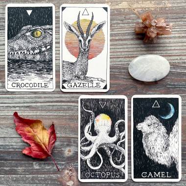 Wild Unknown Animal Spirit Pocket Deck