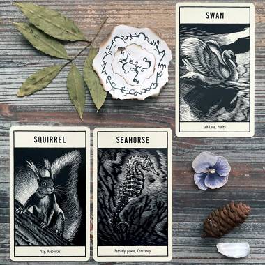 Untamed Spirits Animal Oracle