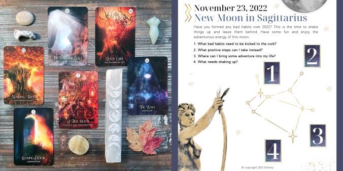 New Moon in Sagittarius Oracle Reading with The Shaman's Dream Oracle