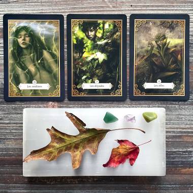 L'oracle des Êtres Invisibles de la Nature