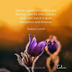 Daily Calm with the Calm app