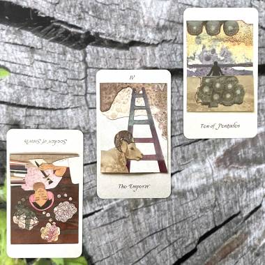 Magical Nature Tarot - Seeker of Swords, Page of Swords, The Emperor, Ten of Pentacles