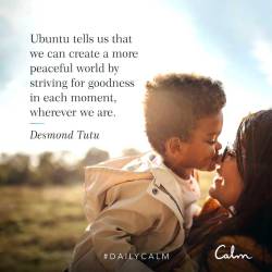 DailyCalm with the Calm App