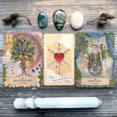 Inspiratriz Tarot and The Herbal Astrology Oracle