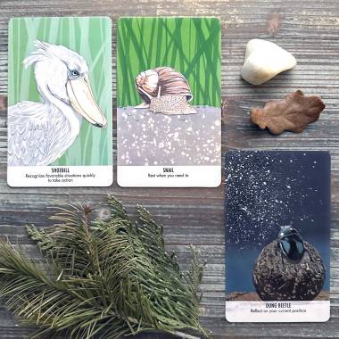 Unusual Animals Oracle