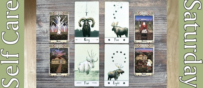 Self Care Saturday Tarot Reading with the Oh, What a Wild Life! Tarot and Magickal Folklore Lenormand