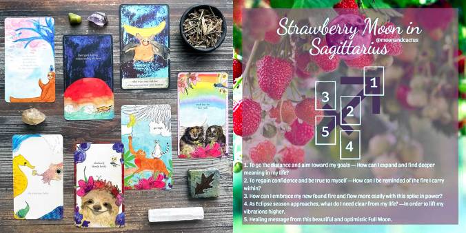 Strawberry Moon in Sagittarius Oracle Reading with the Blooming Lovelies Oracle