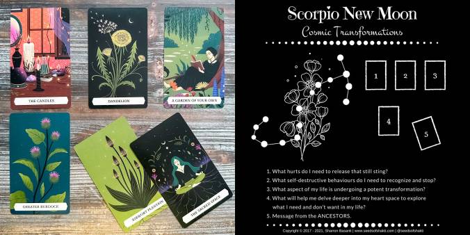 Scorpio New Moon Oracle Reading with the Secret Oracle of the Green Witch