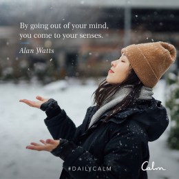 Daily Calm with the Calm app - Alan Watts quote