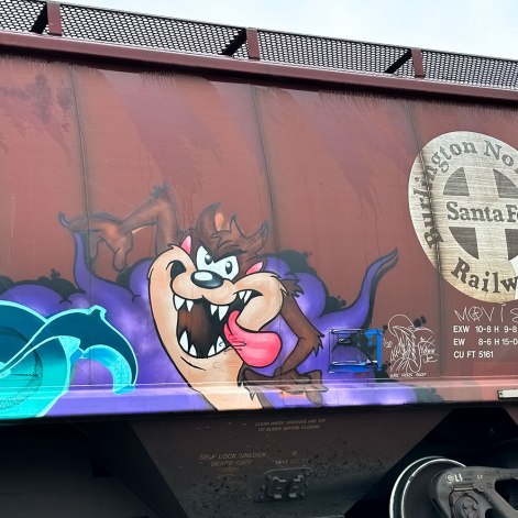 Tasmanian Devil Train Art