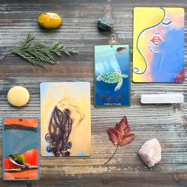 Solace Oracle and The Gentle Tarot- Knight of Cups and Five of Pentacles