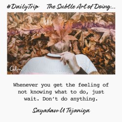 #DailyTrip with the Calm app - Sayadaw U Tejaniya quote