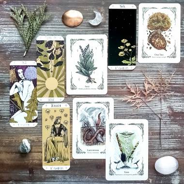 The Green Witch's Oracle Deck and Jonasa Jaus Tarot - Strength, The Sun, Queen of Pentacles, Seven of Pentacles