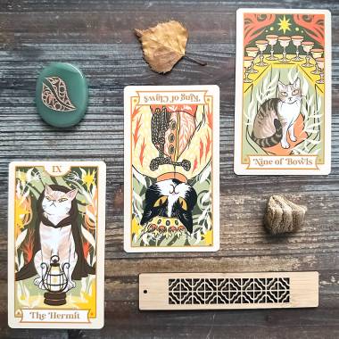 Paw of Light Tarot - The Hermit, King of Swords, Nine of Cups