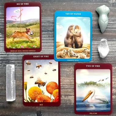 Animal Guides Tarot - Ten of Cups, Six of Wands, Two of Wands, Eight of Wands