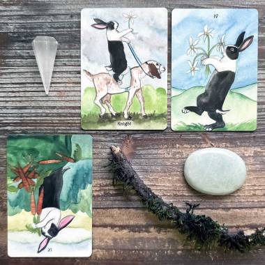 Rabbit Tarot - Nine of Swords, Knight of Pentacles, Four of Pentacles