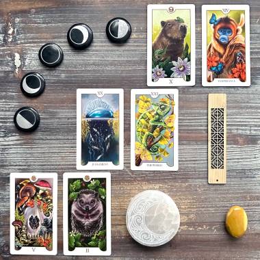 Animal Botanical Tarot - Ten of Cups, Temperance, The World, Judgement, Two of Pentacles, Five of Pentacles
