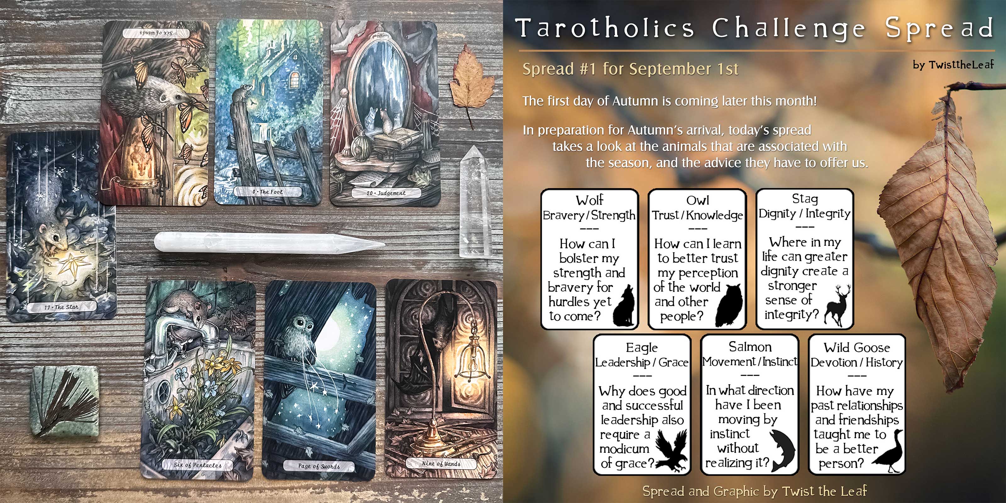 Autumn Tarot Reading with the Heartwood Tarot