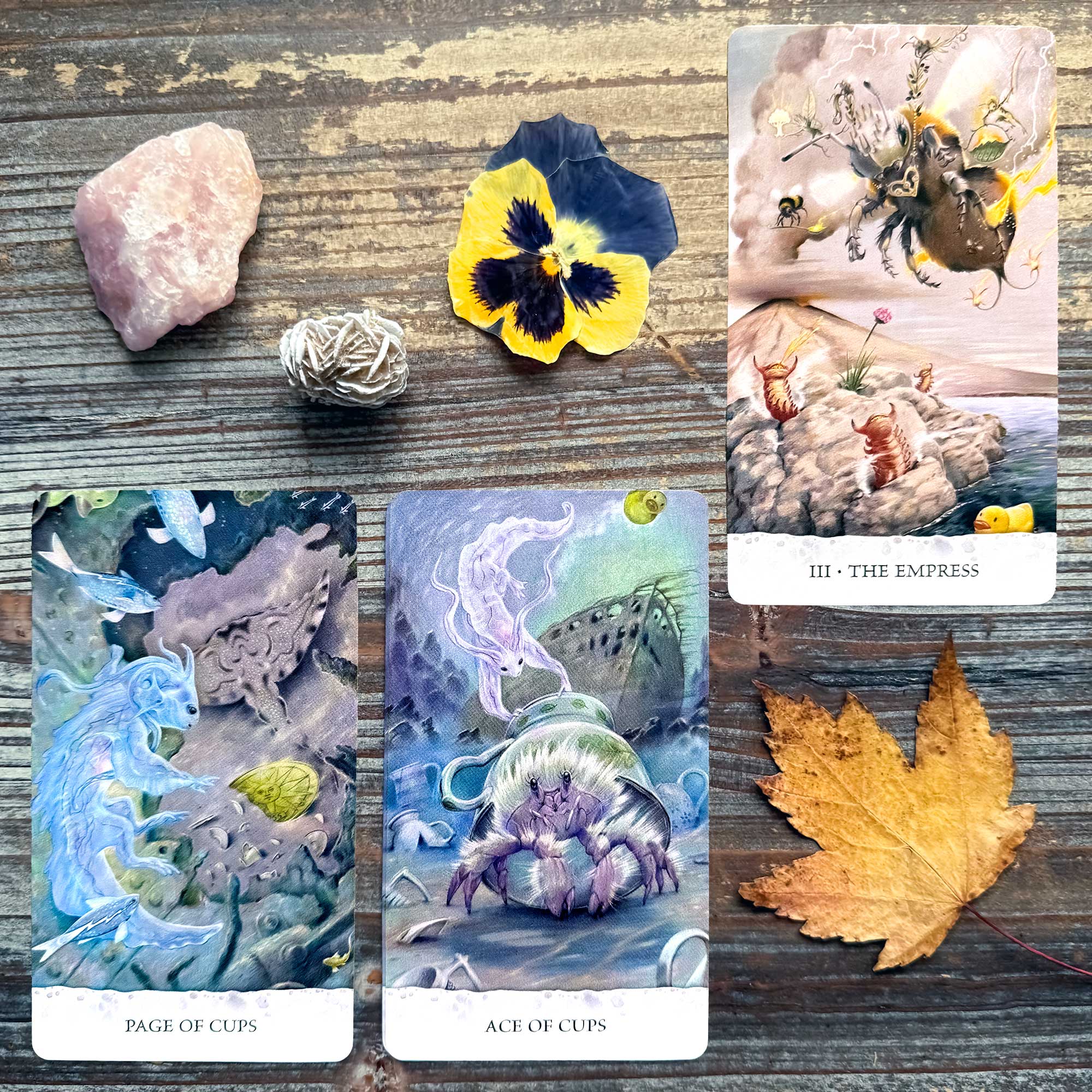 Tarot Reading with the Tarot of Tides