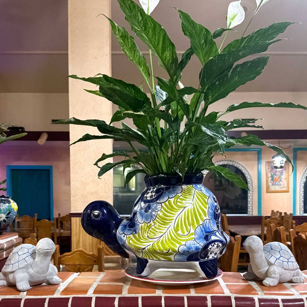 Turtle Planter - Mexican Restaurant
