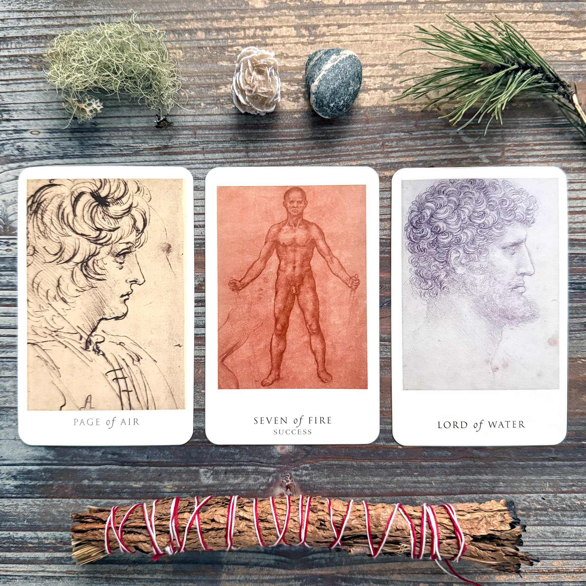 Tarot Reading with The Da Vinci Enigma Tarot