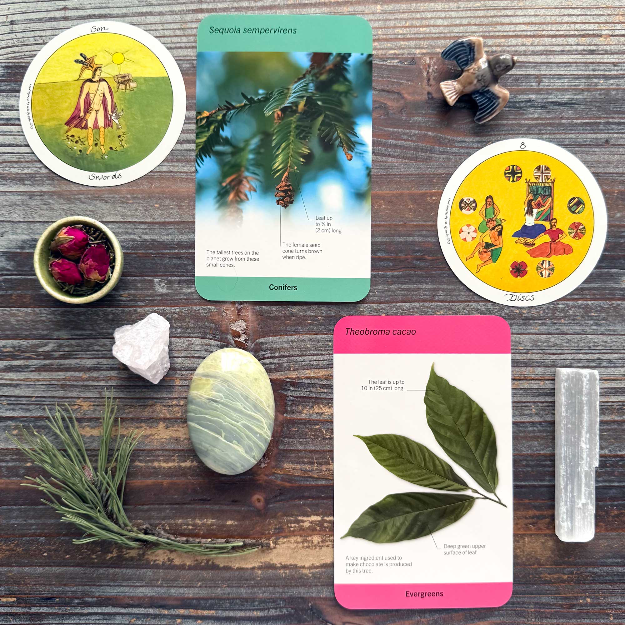 Tarot Reading with the Motherpeace Mini Round Tarot and Smithsonian's Our World in Pictures Trees of the World Flash Cards