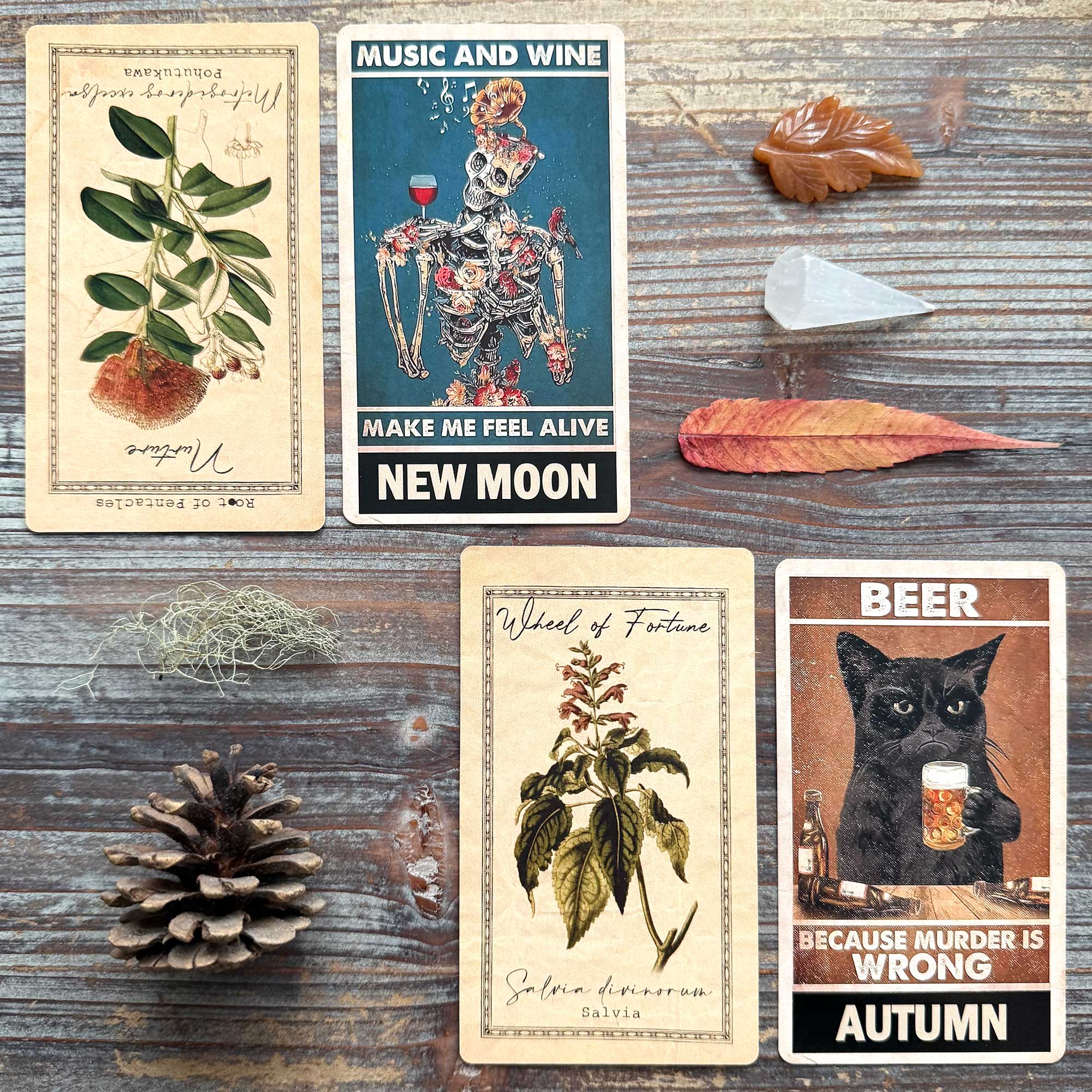 Tarot Reading with the Alchemist's Garden Tarot and Stay Wild Timing Oracle