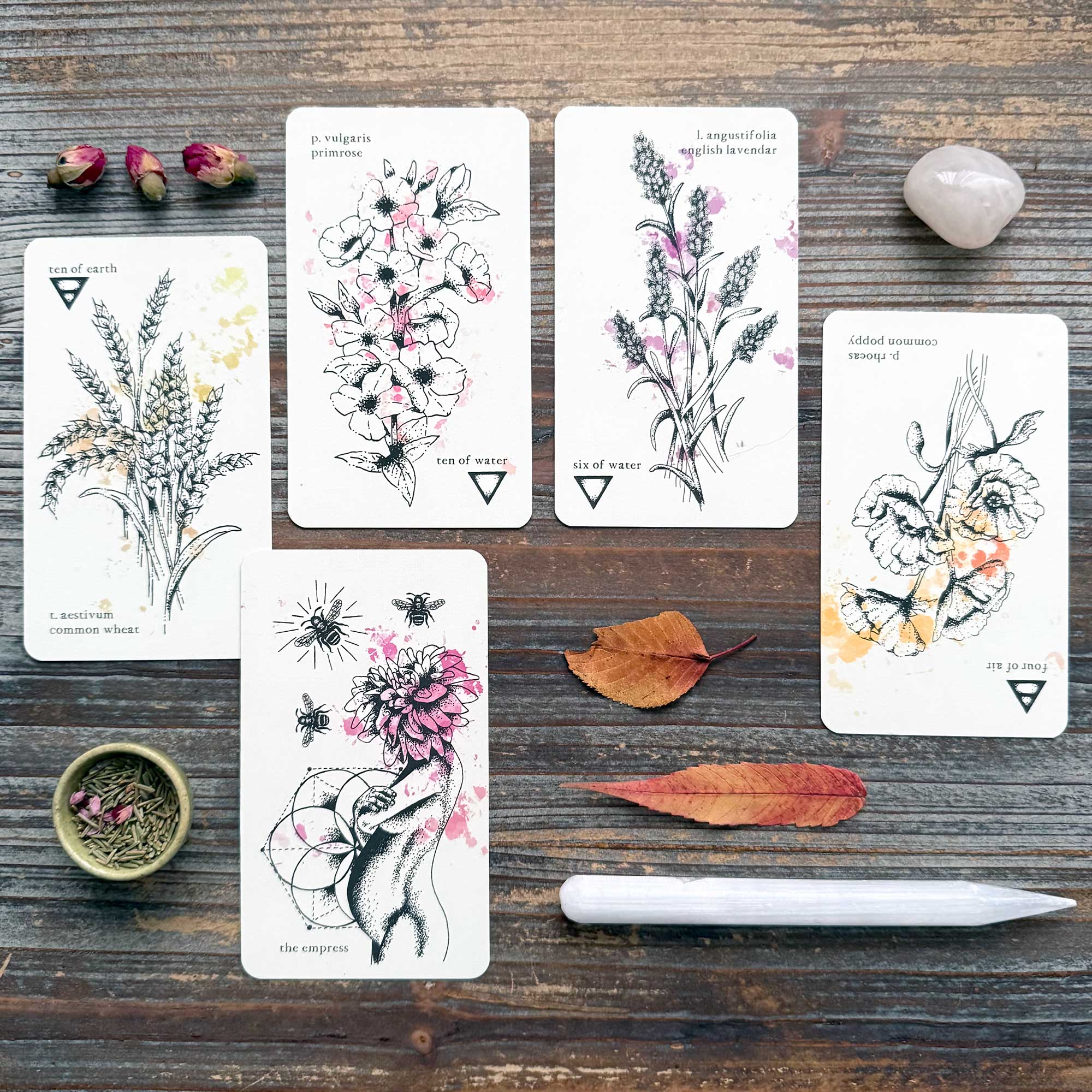 Tarot Reading with the Denizens of Earth Tarot