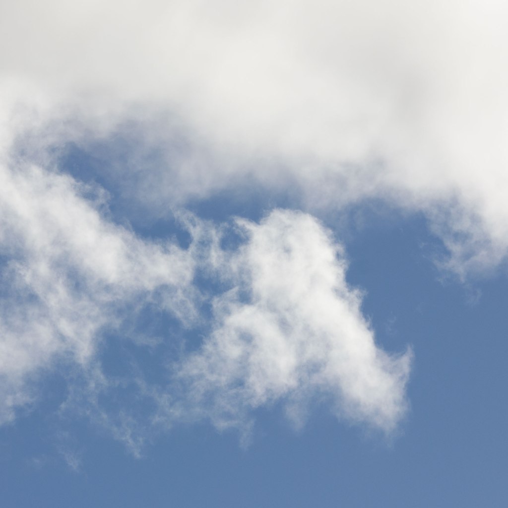 Bird in the Clouds  - Cloud Watching