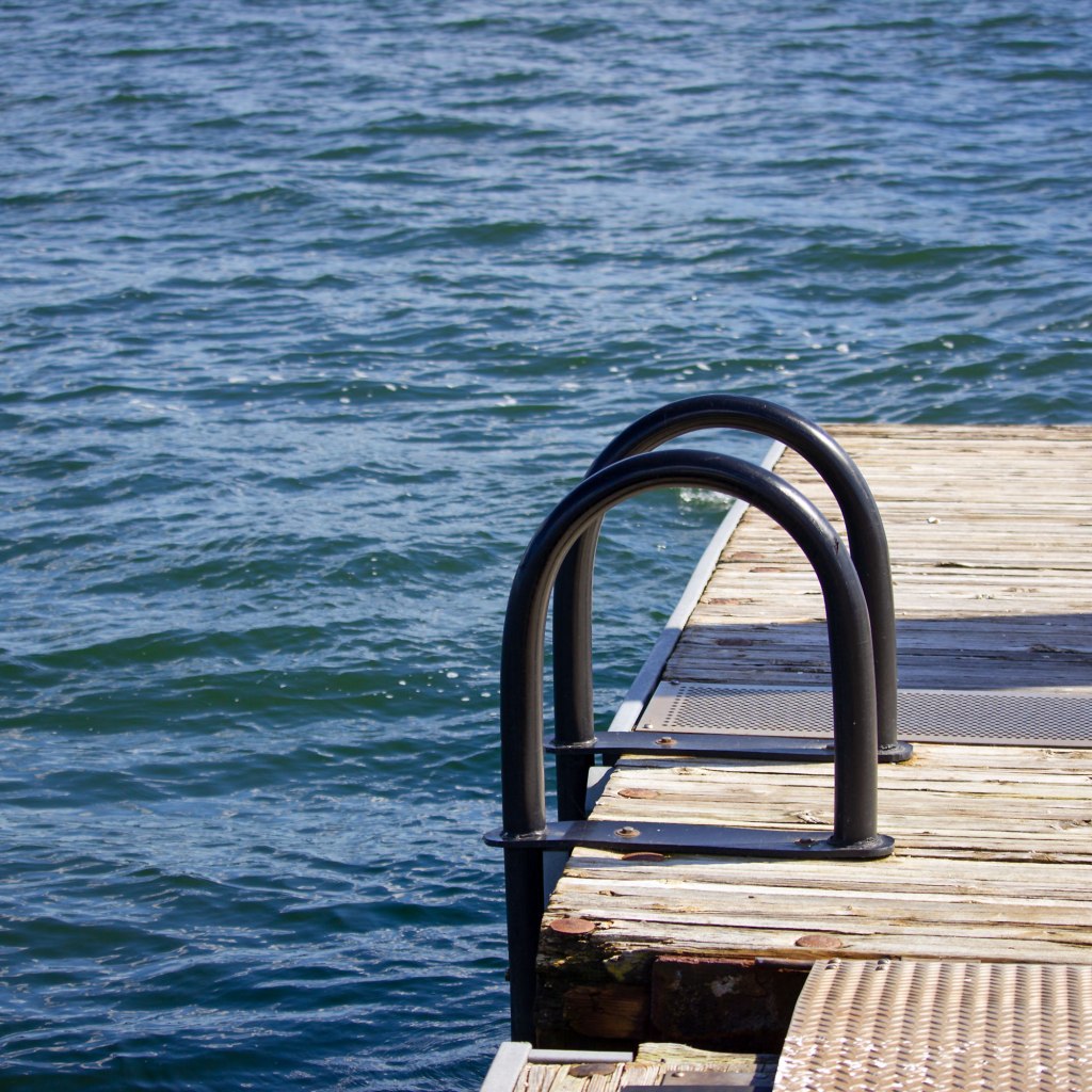 Swimming Ladder