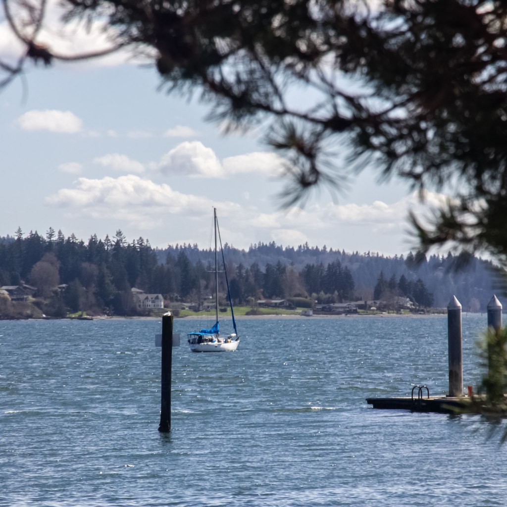 Sailboat Waiting