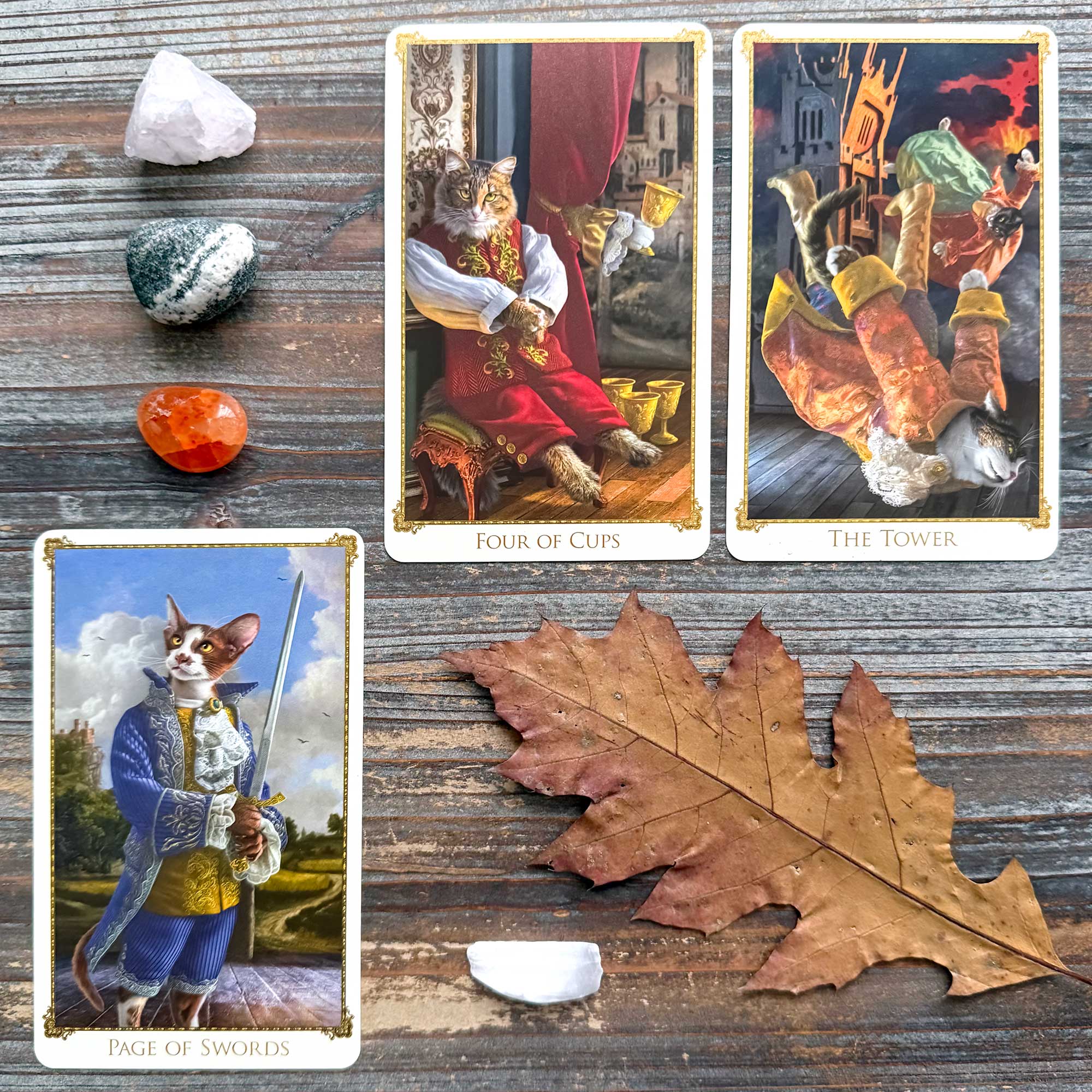 Tarot Reading with The Bohemian Cats Theatre Tarot