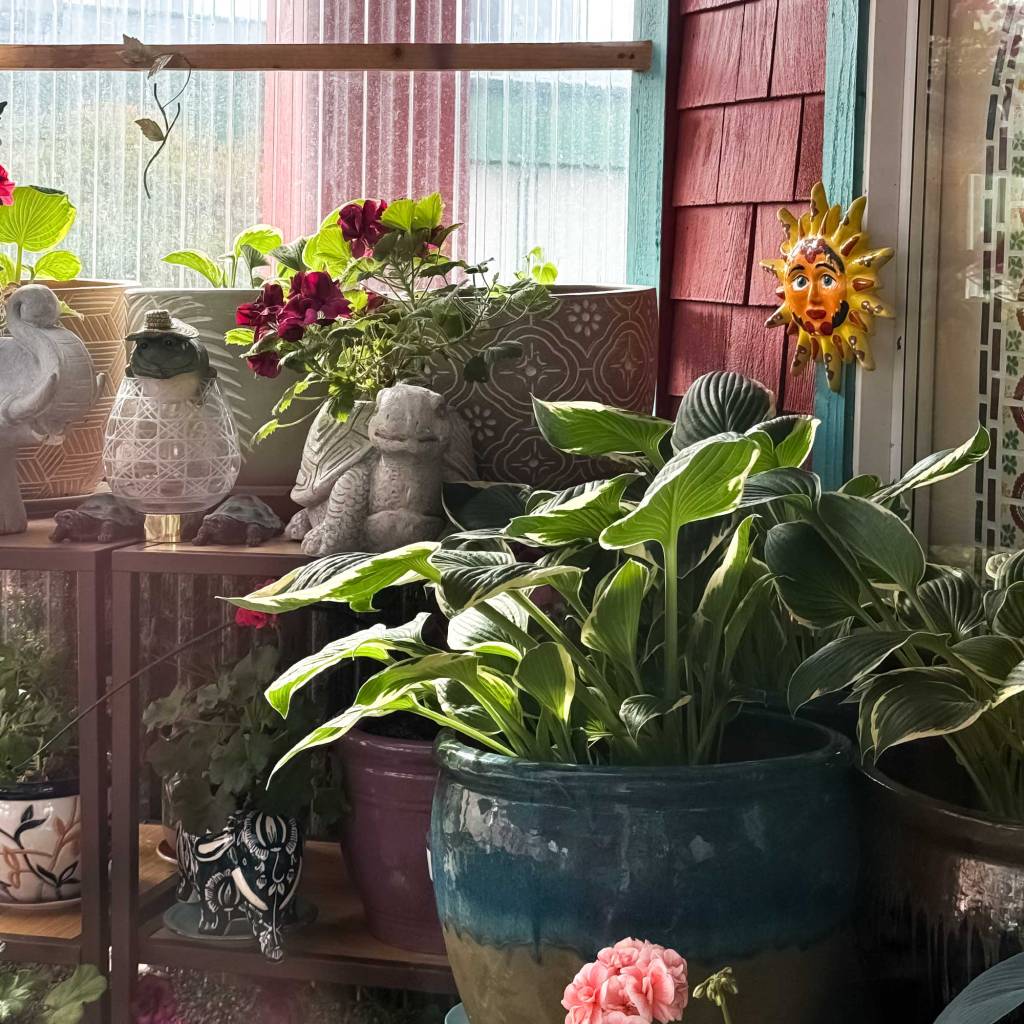 Corner Garden