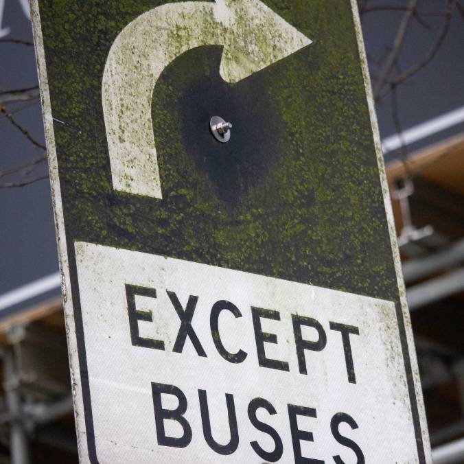 Mossy Sign