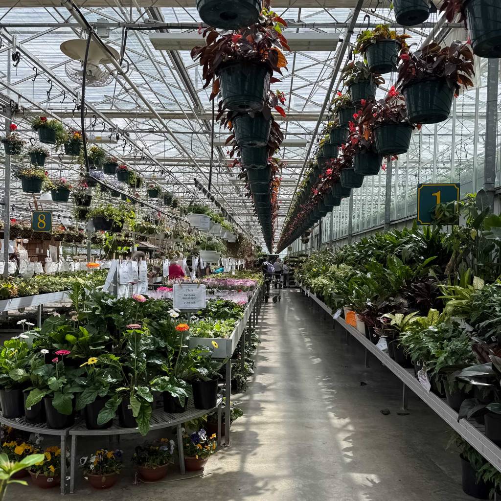 Greenhouse