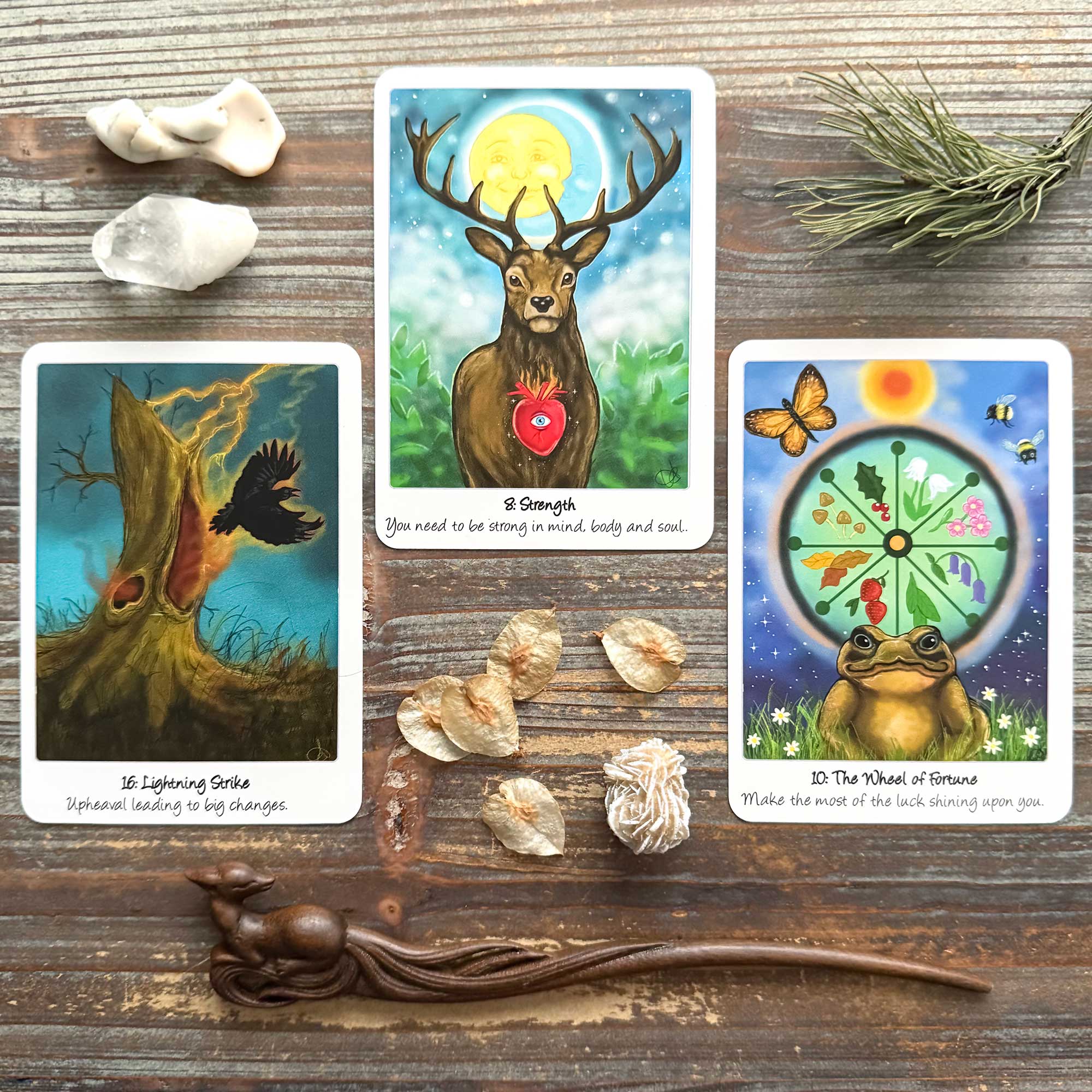 Tarot Reading with The Wild Wisdom Tarot