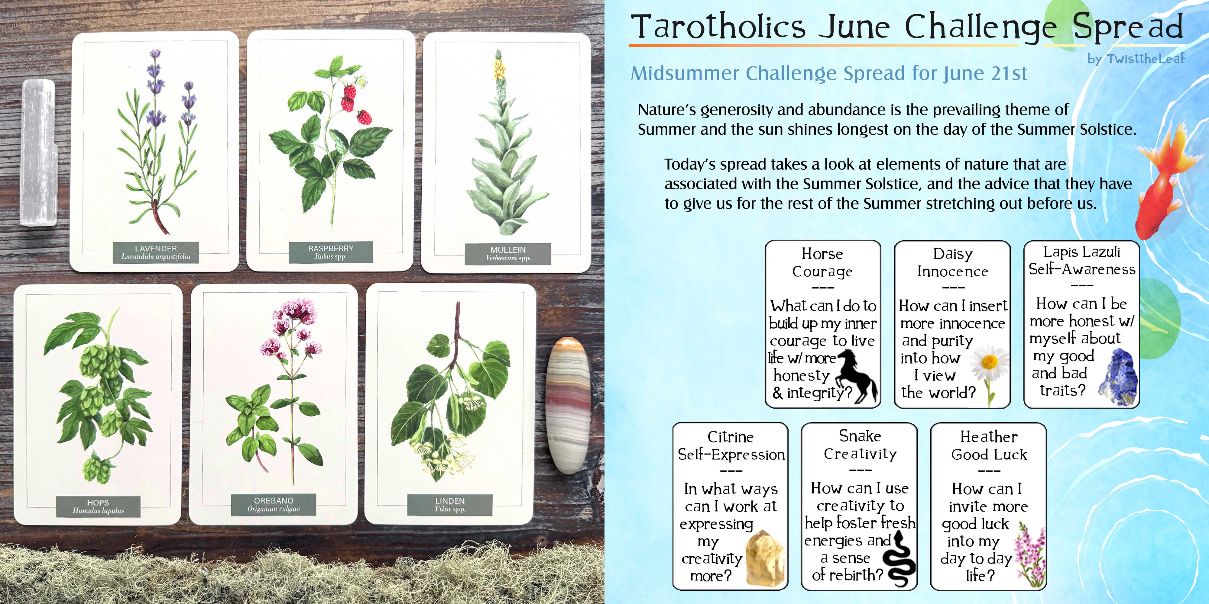 Midsummer Oracle Reading with the Herb Notes Flash Cards