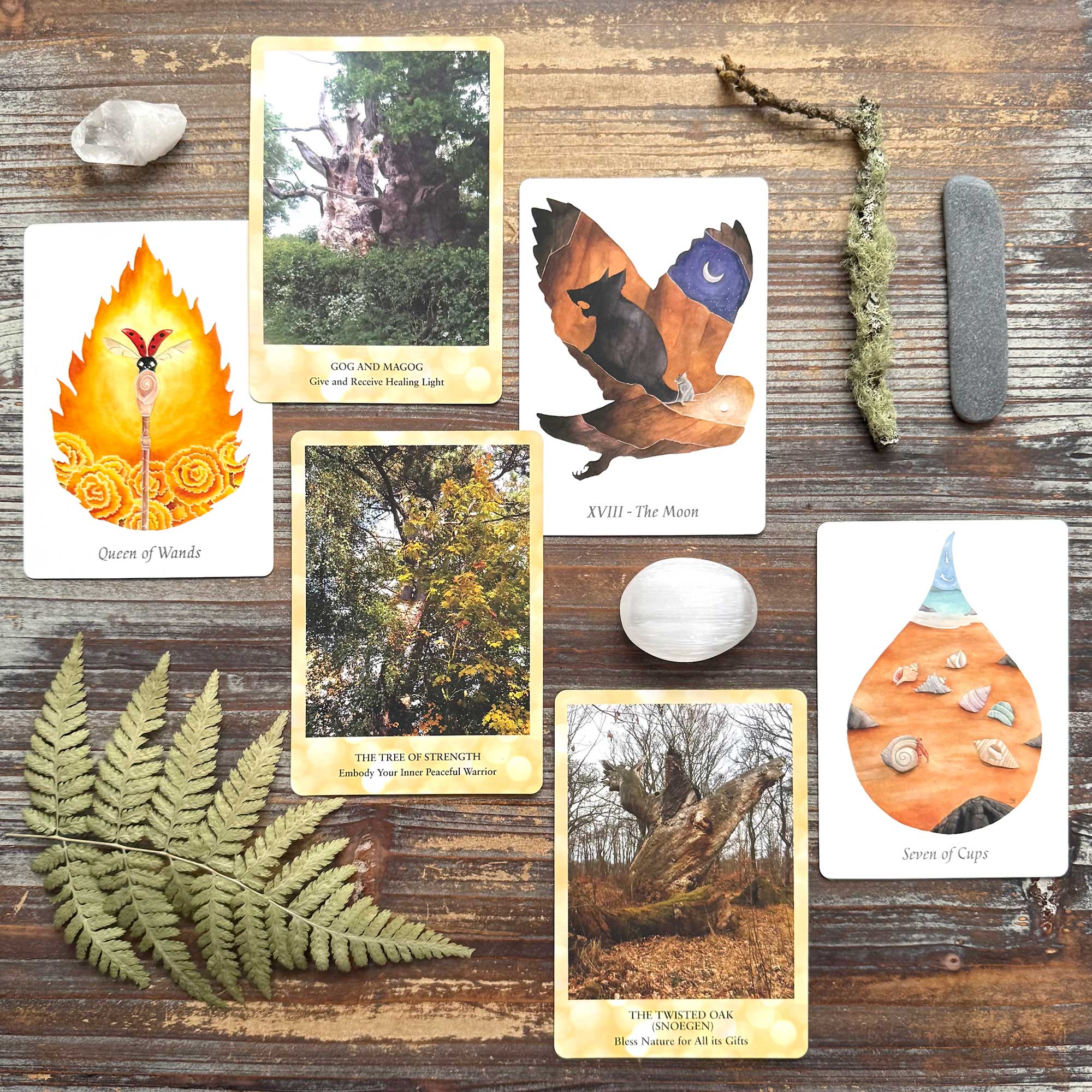 Tarot Reading with the WilderWoven Tarot and Sacred Trees Oracle