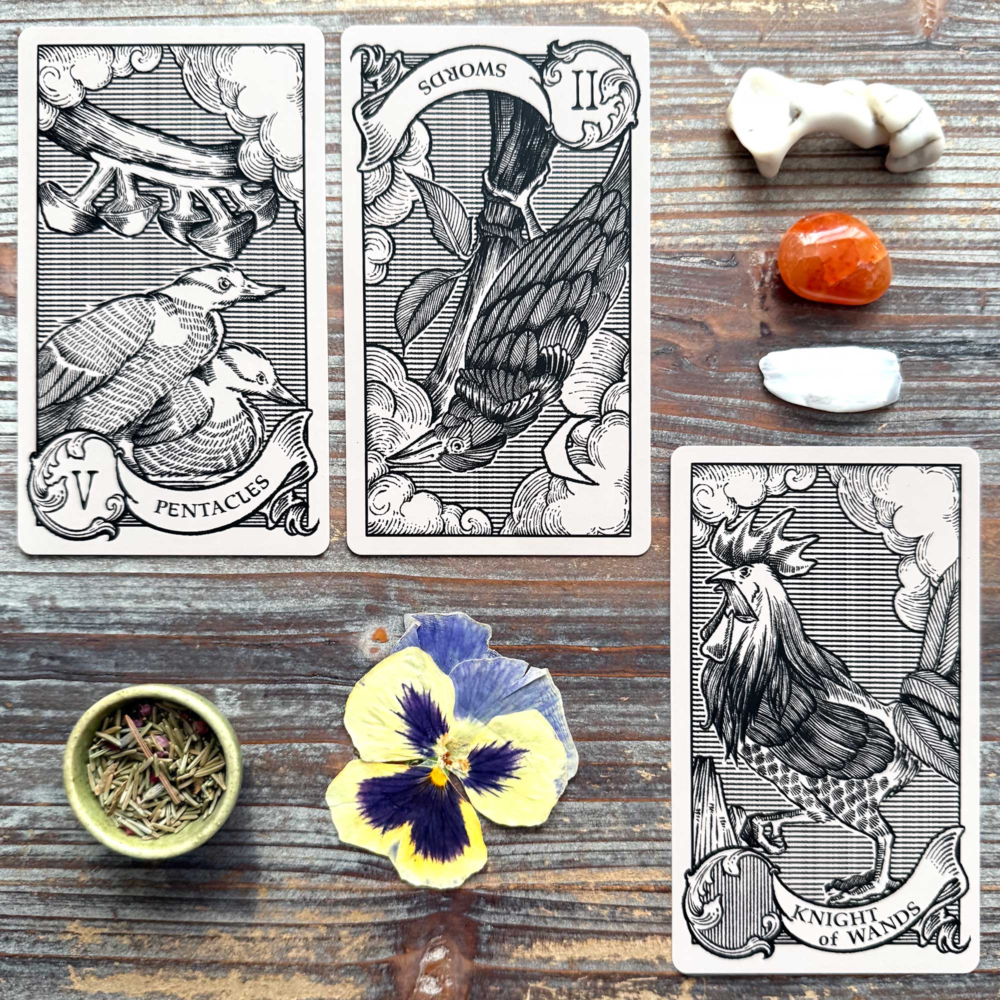 Tarot Reading with the Quill & Ink Tarot
