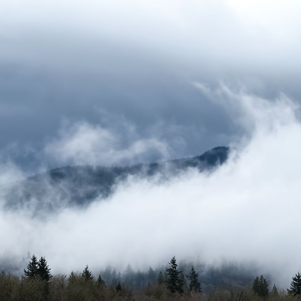 Wispy Clouds