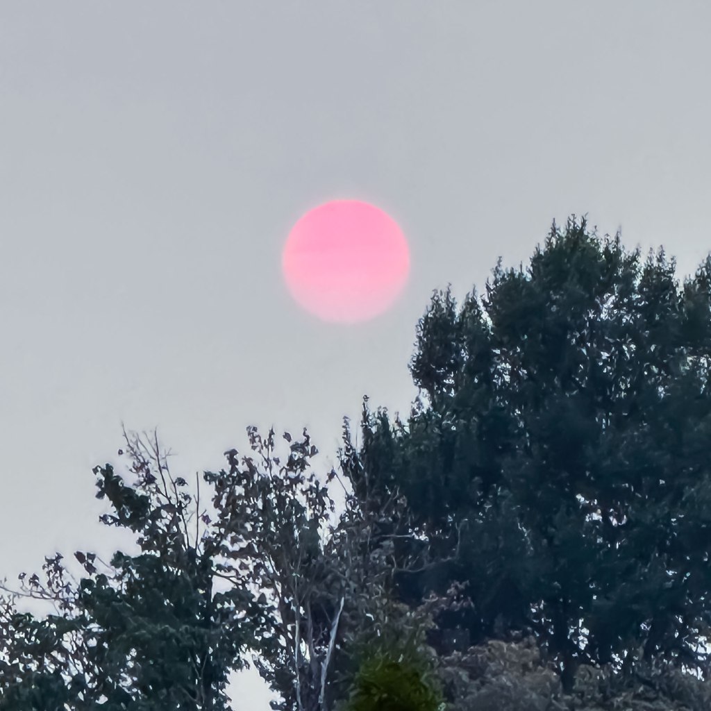 Wildfire Sun in Red