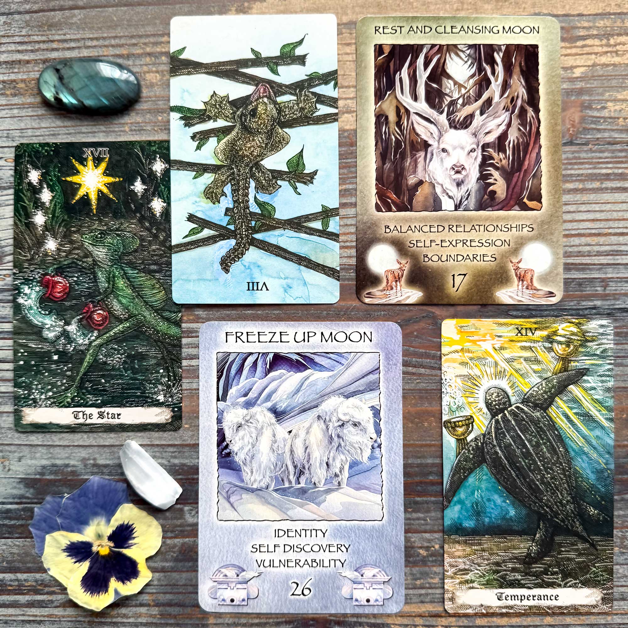 Tarot Reading with the Ignis Arcanae Fire Tarot and Spirit of the Wheel Meditation Deck